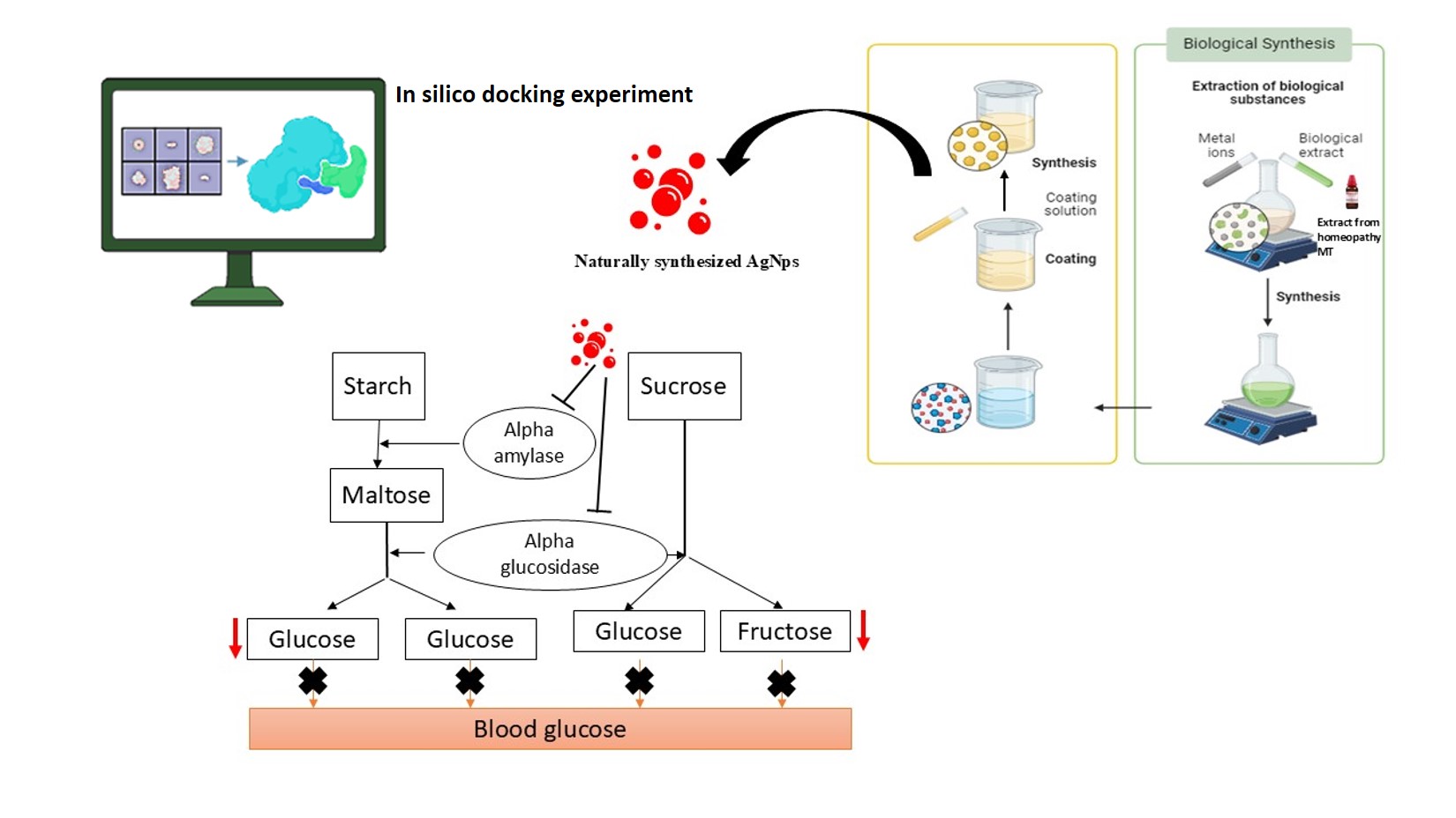 Graphical Abstract